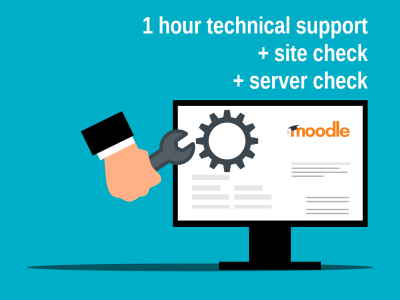 1 hour of technical support for your moodle site