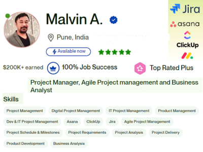 Agile IT Project Manager & Scrum Master for your Software Dev Business