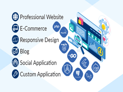 A professional drupal web site