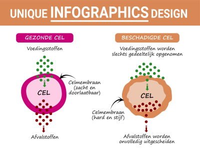 Timeline, steps, process, flowchart and business infographics