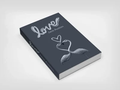 I will design professional book cover or ebook cover