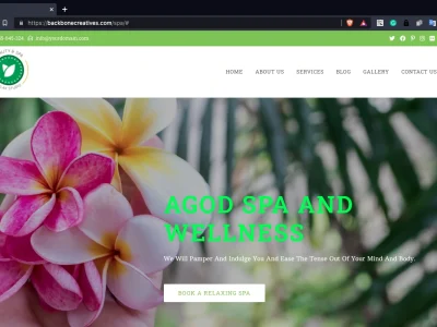 High converting sales copy Landing Pages and other web pages