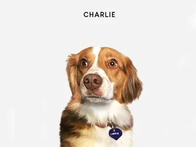 Beautiful Digital Watercolor Custom Portrait Of Your Fur Babies