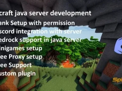 A professional Minecraft server