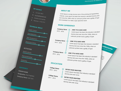 A crazy, modern and professional CV within 24 hours!