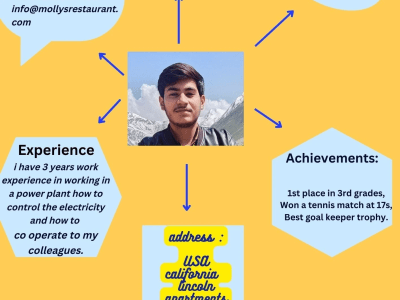 A fantastic resume with infographics