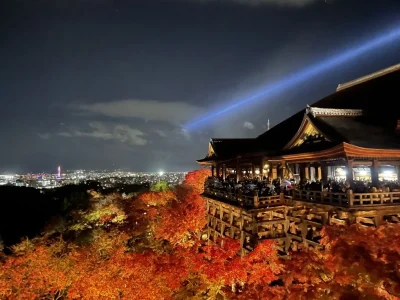 An amazing  plan to visit Japan