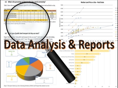 Data Analysis & Reports: Data Research, Data Visualization, SQL, POWER ...