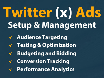 Twitter Audience Targeting & Conversion Tracking Strategies