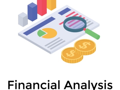 FINANCIAL ANALYSIS REPORT OF A COMPANY OR PROJECT