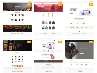 WordPress Website Design | Expert WordPress Developer | WooCommerce Expert