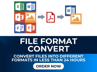 MS Word, PDF, JPG, PNG, CSV, GIF, SVG, MP3, MP4 file converted in 24 hours