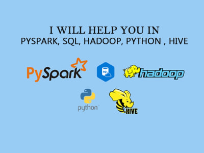 Data Analysis by an expert Data Analyst in Python, SQL, Hive, Hadoop