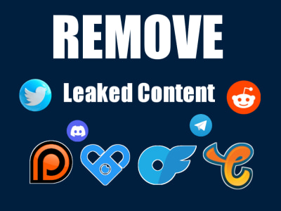 A DMCA Takedown Expert to remove copyright infringing and leaked content