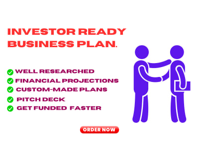 A well-researched investor/Bank ready Business Plan + Financial Projections