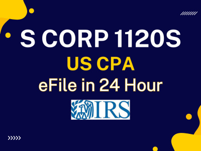 S Corp 1120S tax return preparation and efile in 24 hours