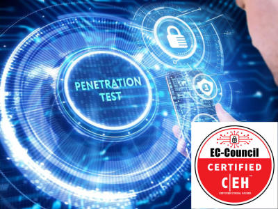 An OWASP Top 10 Web and Mobile Penetration Test and Report