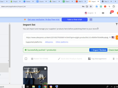 Uploaded product catalog via DSers, Product catalog upload | Upwork