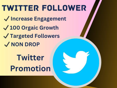 100% Real Twitter followers | Twitter growth | Targeted Niche followers