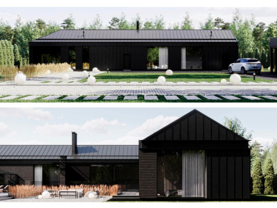 A house exterior visualization consultation