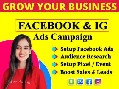 Facebook ads Campaign Setup and facebook Ads Manager, facebook advertising
