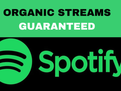 USA spotify music promotion to increase organic streams and Downloads