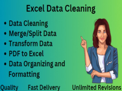 Excel Data Cleaning Formatting Merging Splitting and Converting | Upwork