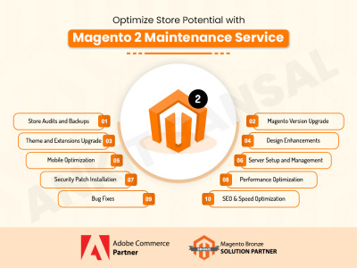 Magento 2 Maintenance & Support to optimize the performance of your store