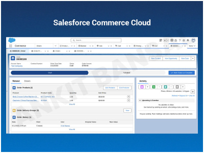 Salesforce Commerce Cloud setup to amplify customer experience