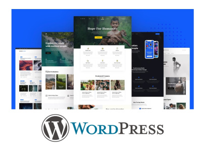 A professional WordPress website | Upwork