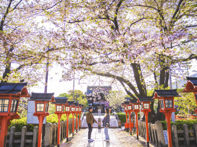 Beautiful Proposal Photos in Kyoto, Japan