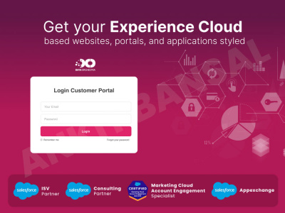 Salesforce Experience Cloud (Community Portals) Development & Customization
