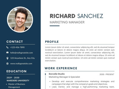 Write a highly professional CV