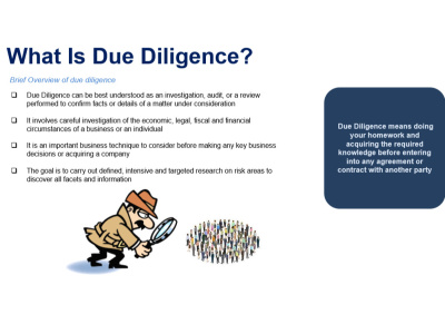 A Due Diligence/Research report on any Company or Individual globally