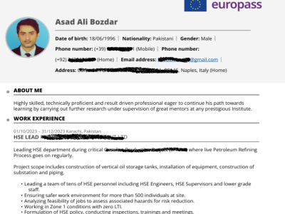 A Europass CV with all the content after proper conversion