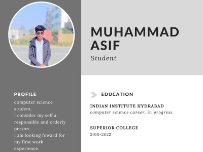 An attracting Resume that will build your career