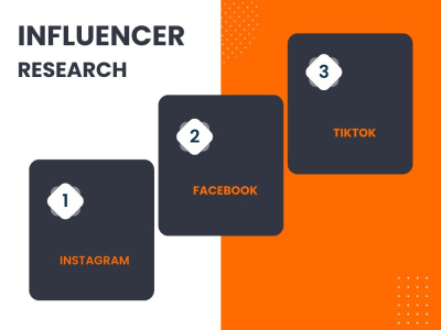 Social Media Influencer Research