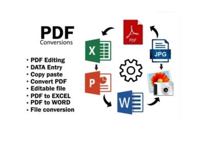 PDF/Image/Screenshot non-editable file converted in Word/Excel within 24 hr