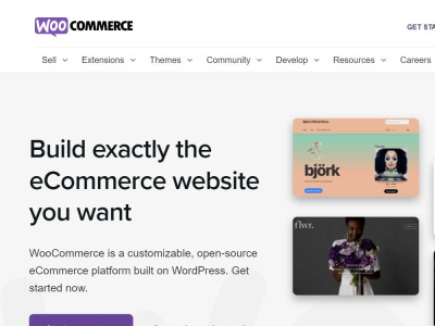 ECommerce website design, eCommerce web store | WordPress WooCommerce ...
