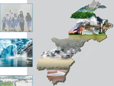 Quality Article writing, need analysis reports and case studies for NGO,NPO