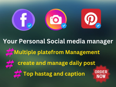 Instagram. Facebook, Pinterest account and engagement