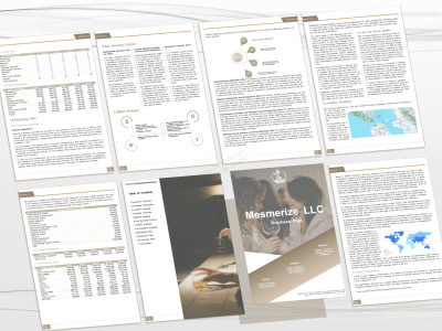 A persuasive investor ready business plan