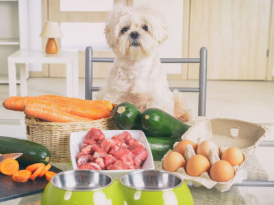 Balanced homemade dog food formulation
