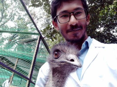 Best quality articles and blogs about bird, wildlife and reptiles