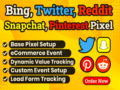 Setup Tiktok, Snapchat and Pinterest pixel conversion API