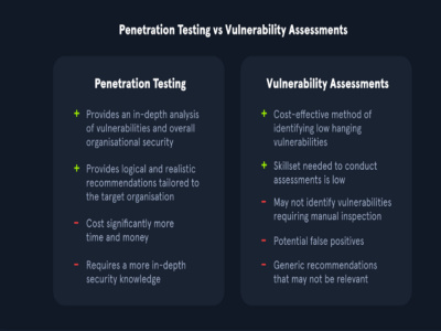 A Professional Penetration Testing and Risk Assessment Report