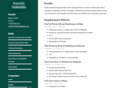 Professional CV for your Career Development