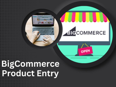 BigCommerce Product Entry, Product Uploading Services.