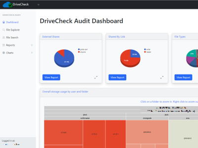 A comprehensive file audit of your organization's Google Drive usage.