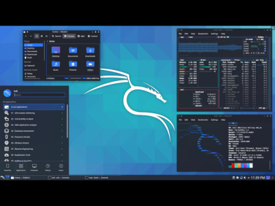 Professional penetration testing and vulnerability assessment report
